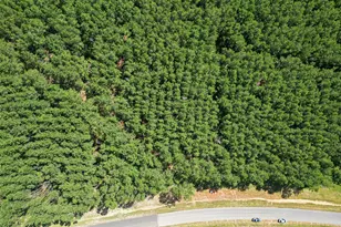 15831 Ridge Oak Rd, Willis, TX 77378 - Photo 22