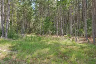 15831 Ridge Oak Rd, Willis, TX 77378 - Photo 6