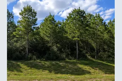 12745 Oak Barrel Road, Willis, TX 77378 - Photo 2
