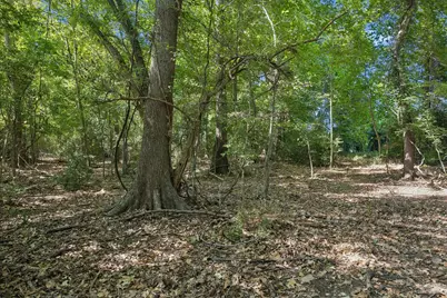 000 Ripple Lane, New Ulm, TX 78950 - Photo 16