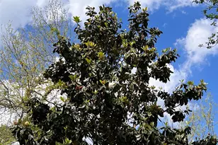 28905 Richard Kaye Ln, Pinehurst, TX 77362 - Photo 26