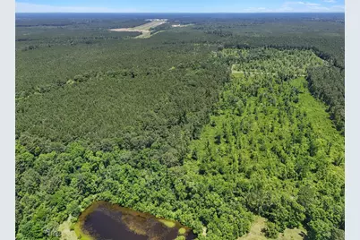 Tbd County Road 2235, Cleveland, TX 77327 - Photo 10