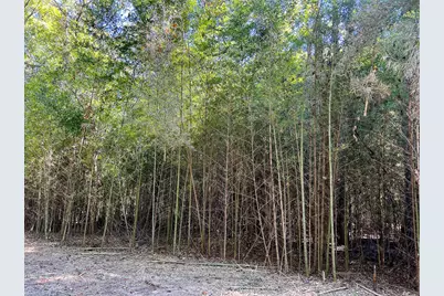 14 Fm 350, Livingston, TX 77351 - Photo 14