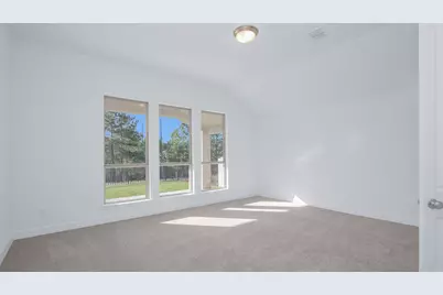 42687 Mystery Lane, Magnolia, TX 77354 - Photo 4