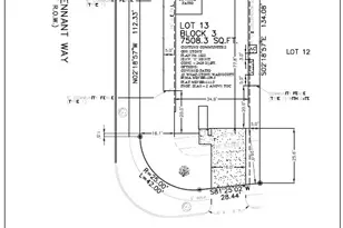 32326 Comet Darner Wy, Fulshear, TX 77441 - Photo 4