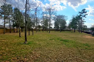 21907 Gallagher Pines Ln, Hockley, TX 77447 - Photo 24