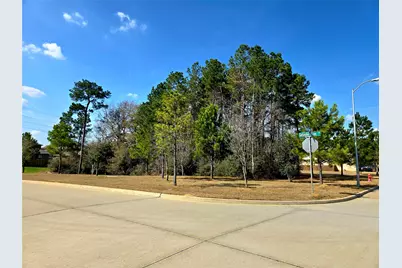 21907 Gallagher Pines Lane, Hockley, TX 77447 - Photo 20