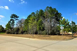 21907 Gallagher Pines Ln, Hockley, TX 77447 - Photo 20