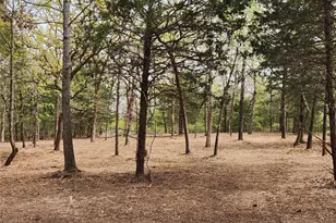 0 County Road 4710 Lot 465, LaRue, TX 75770 - Photo 4