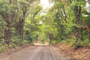 0 County Road 4710 Lot 465, LaRue, TX 75770 - Photo 2