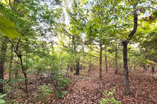 0 County Road 4710 Lot 465, LaRue, TX 75770 - Photo 10