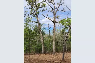 0 County Road 4710 Lot 465, LaRue, TX 75770 - Photo 34