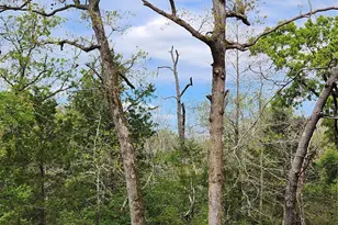 0 County Road 4710 Lot 465, LaRue, TX 75770 - Photo 34