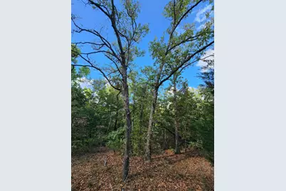 0 County Road 4710 Lot 465, LaRue, TX 75770 - Photo 24