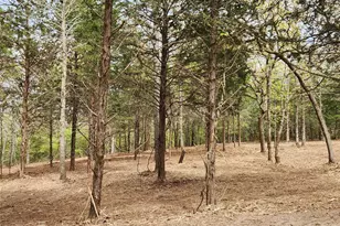 0 County Road 4710 Lot 465, LaRue, TX 75770 - Photo 42