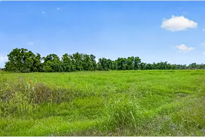 16403 Deerhaven Run, Rosharon, TX 77583 - Photo 24