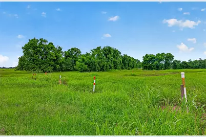16403 Deerhaven Run, Rosharon, TX 77583 - Photo 26