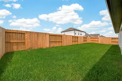 3423 Windmill Palm Drive, Manvel, TX 77578 - Photo 44