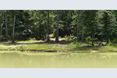 856 State Highway 150, New Waverly, TX 77358 - Photo 10