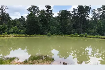 856 State Highway 150, New Waverly, TX 77358 - Photo 12