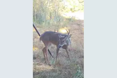 0 County Road 325, Louise, TX 77455 - Photo 18