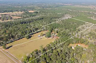 234 Private Rd 7023, Kirbyville, TX 75956 - Photo 2