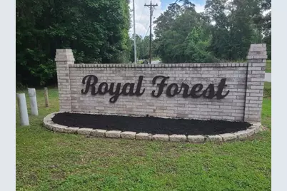 10731 Royal Terrell Drive, Conroe, TX 77303 - Photo 28