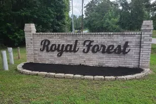 10731 Royal Terrell Dr, Conroe, TX 77303 - Photo 28