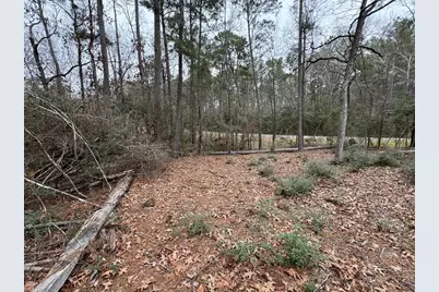 Tbd County, Goodrich, TX 77335 - Photo 6