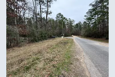 Tbd County, Goodrich, TX 77335 - Photo 2