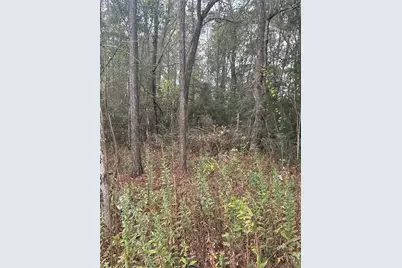 Tbd County Road 427, Dayton, TX 77535 - Photo 2