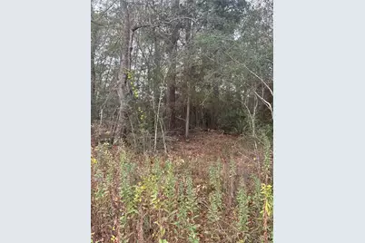 Tbd County Road 427, Dayton, TX 77535 - Photo 4