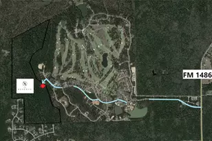 3 Augusta Dr, Montgomery, TX 77316 - Photo 4