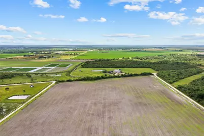 Tr28 County Road 160, Alvin, TX 77511 - Photo 8