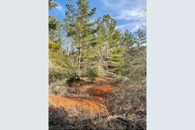 Tbd Fm 1469, Marquez, TX 77865 - Photo 2