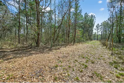 525 County Road 3016, Dayton, TX 77535 - Photo 28