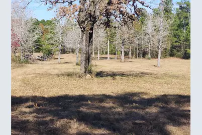 0 Bailey Grove Road, Montgomery, TX 77356 - Photo 4