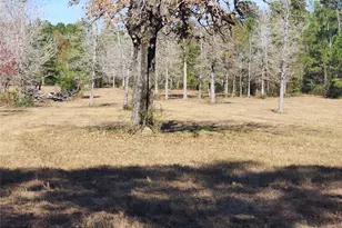 0 Bailey Grove Rd, Montgomery, TX 77356 - Photo 4