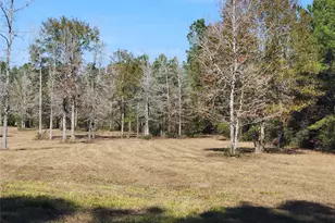 0 Bailey Grove Rd, Montgomery, TX 77356 - Photo 1