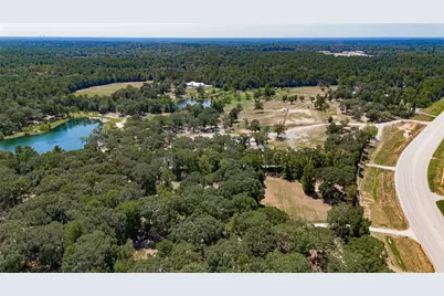 919 McCaleb Road N, Montgomery, TX 77356 - Photo 46