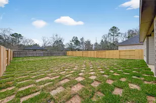 1107 Lyle W Ave, Cleveland, TX 77327 - Photo 38