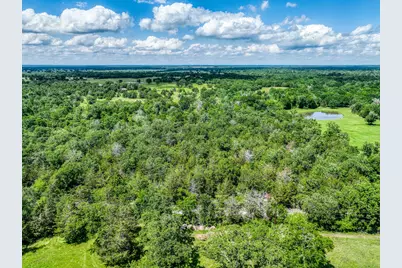 Tbd County Road 132, Bedias, TX 77831 - Photo 8