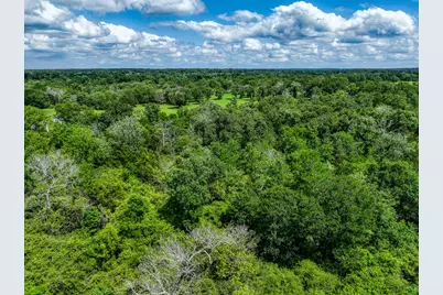 Tbd County Road 132, Bedias, TX 77831 - Photo 20