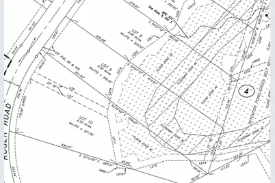 10891 Ruger Road, Willis, TX 77378 - Photo 4