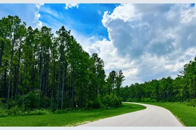 10891 Ruger Road, Willis, TX 77378 - Photo 4