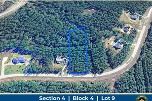 10891 Ruger Rd, Willis, TX 77378 - Photo 1