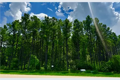 10891 Ruger Road, Willis, TX 77378 - Photo 2