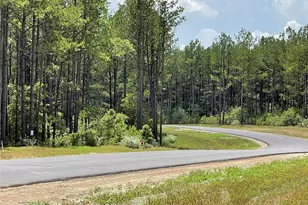 10891 Ruger Rd, Willis, TX 77378 - Photo 8