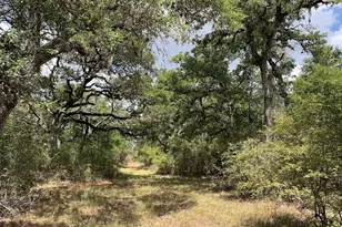 00 Private Road 1581 Rd, Hallettsville, TX 77964 - Photo 1