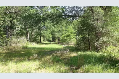 00 Private Road 1581 Road, Hallettsville, TX 77964 - Photo 2
